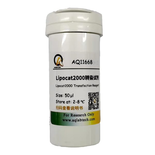 Lipocat2000转染试剂(图1)