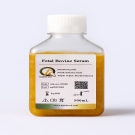 AQmv05500-500ml 标准级胎牛血清（FBS）