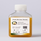AQmv09900-500ml 特级胎牛血清（FBS） 500ml
