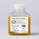 AQmv06600-500ml 优级胎牛血清（FBS） 500ml